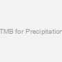 TMB for Precipitation